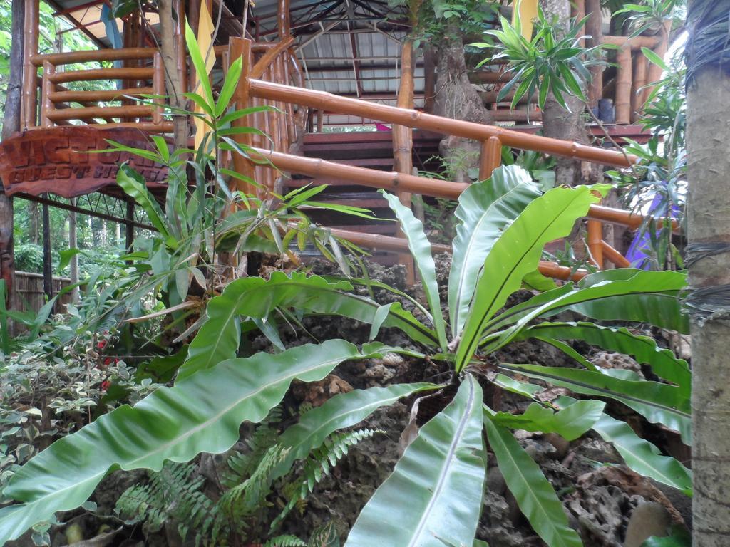 Victoria Guest House And Cottages Puerto Princesa Exterior foto