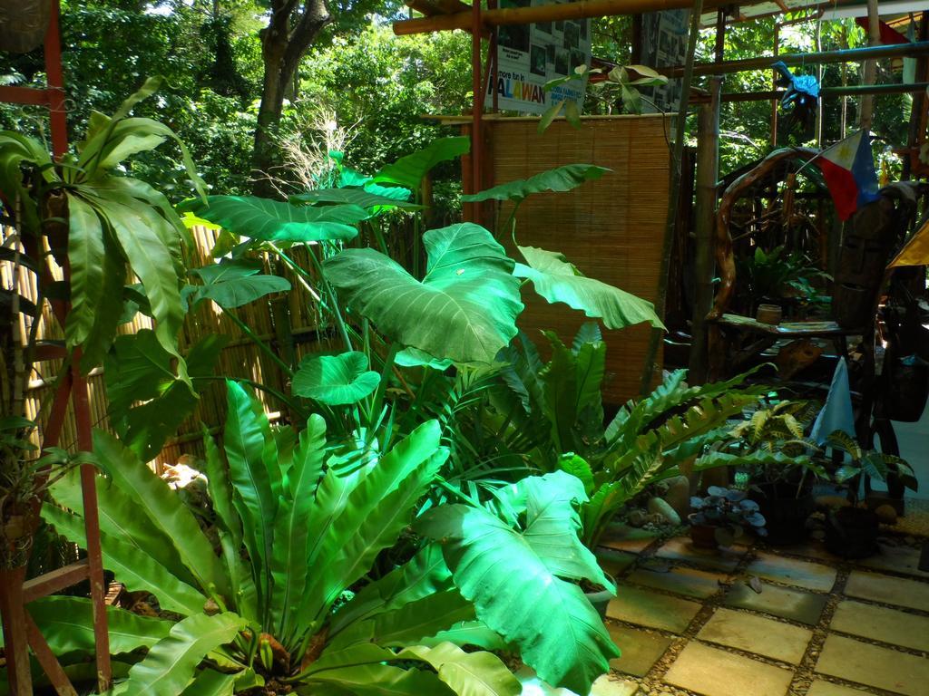 Victoria Guest House And Cottages Puerto Princesa Exterior foto