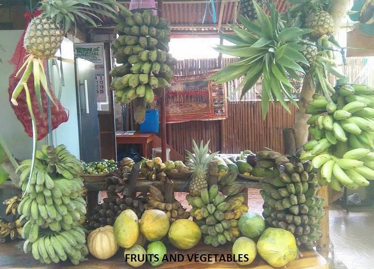 Victoria Guest House And Cottages Puerto Princesa Exterior foto